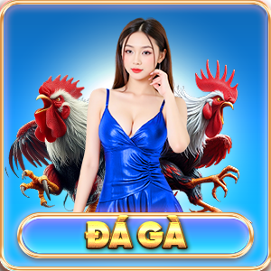 đá gà